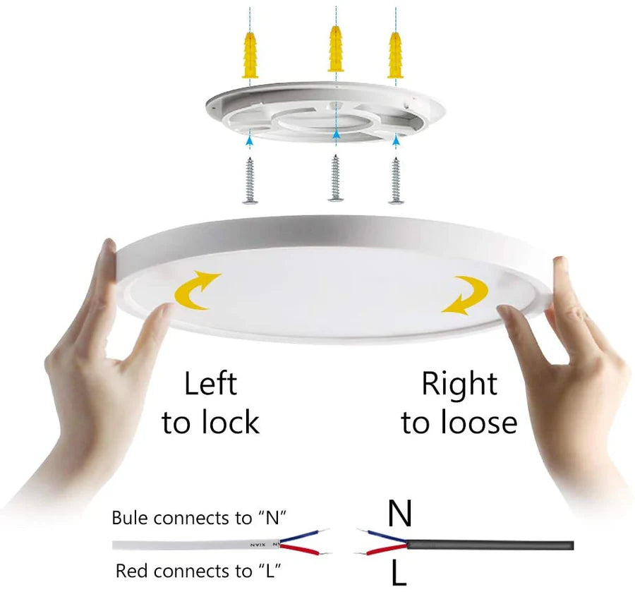 12 Inch 24W White / Black Smart RGBCW Round Slim LED Ceiling Lights – AC 220–240V | RGB Color Changing, 2700K–6500K Adjustable with Dimmable Brightness | Compatible with Alexa/Google Home/APP Control WiFi Light for Bedroom/Kids Room/Party – 2-Pack