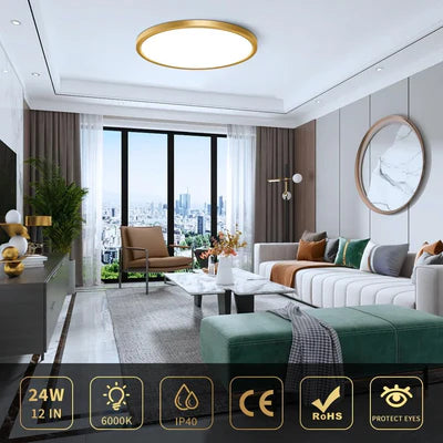 12 Inch 24W White / Gold Round Ceiling Light – AC 110–130V | 3000K / 4500K / 5000K / 6500K | Flush Mount Ceiling Light for Modern Home Lighting | 1-Pack – Local Stock (US)