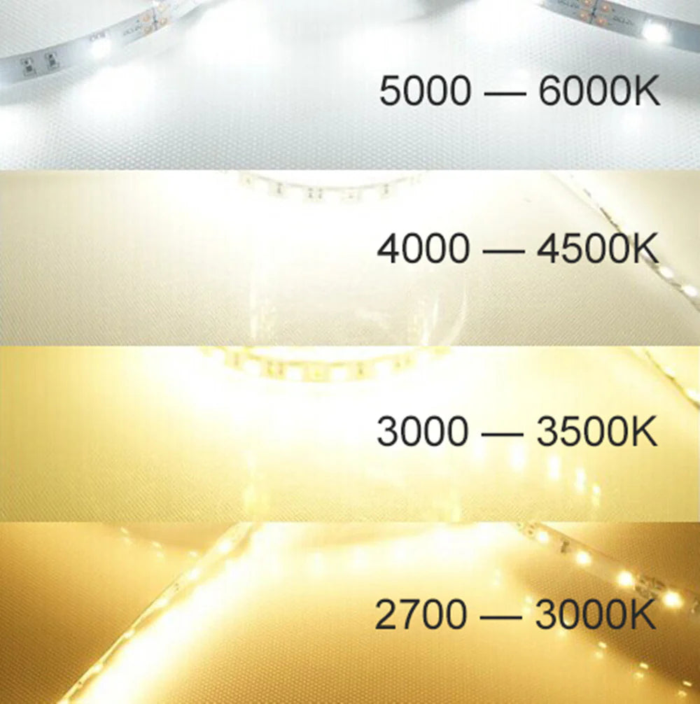 SMD5050 LED Strip Light, 5m Roll | 12V DC | 60 LEDs/m | 12W/m | Standard & High Brightness Options (10–12lm / 20–22lm per LED) | White 3000K / 4000K / 6000K | IP00 / IP67