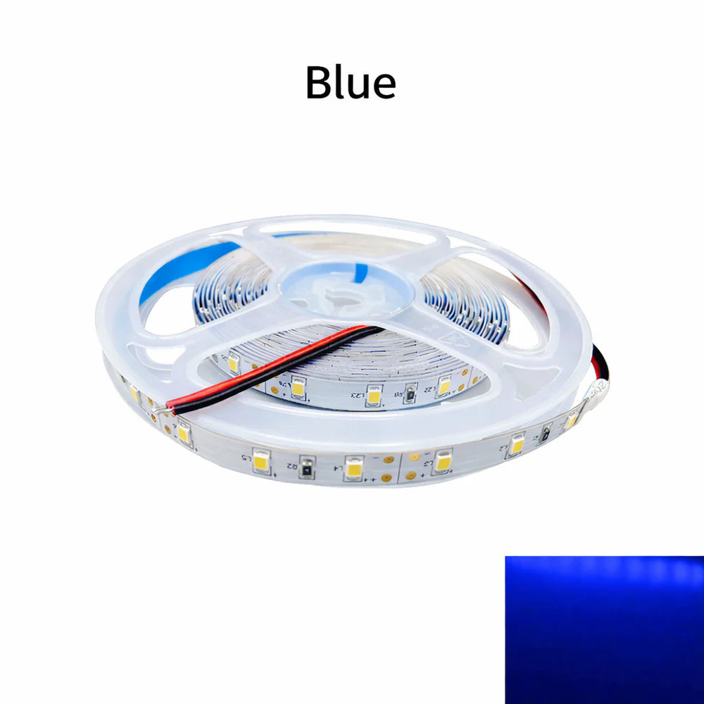 DC12V SMD2835 Single Color LED Strip Light | 5M | 60 LEDs/m | 8mm PCB | 0.2W per LED | High Brightness | IP00 / IP67 | Warm White / Natural White / Cool White / Blue | for Mirror, Kitchen Cabinet, Bedroom