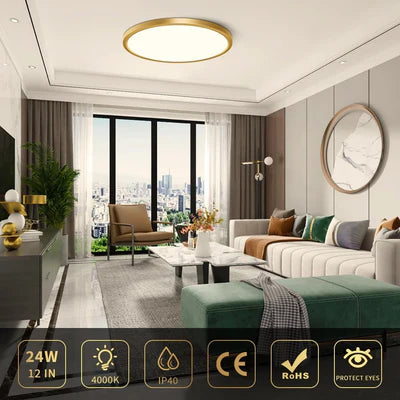 12 Inch 24W White / Gold  Round Ceiling Light – AC 110–130V | 3000K / 4500K / 5000K / 6500K | Flush Mount Ceiling Light for Modern Home Lighting | 1-Pack – Local Stock (US)