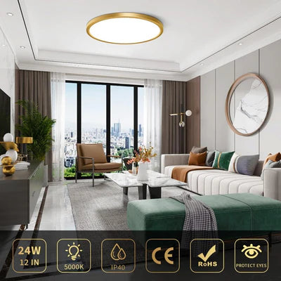 12 Inch 24W White / Gold  Round Ceiling Light – AC 110–130V | 3000K / 4500K / 5000K / 6500K | Flush Mount Ceiling Light for Modern Home Lighting | 1-Pack – Local Stock (US)