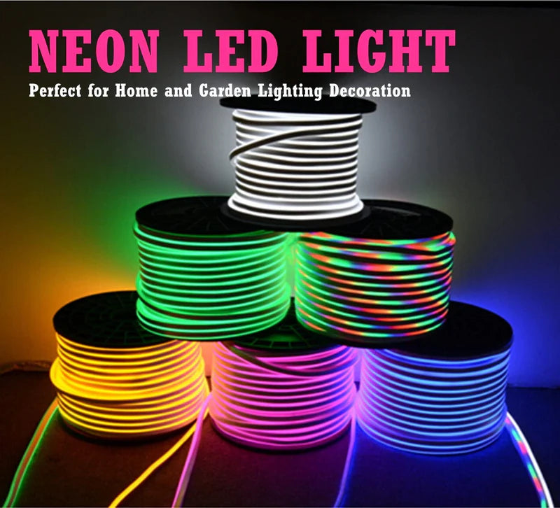 LightingWill 10x20mm SMD5050 60LEDs/m RGB High Voltage LED Neon Rope Light AC110V/220V 12W/m, IP65 Waterproof Flexible Neon Strip with Remote Control and Power Plug, for Indoor and Outdoor Decoration, 10/50M