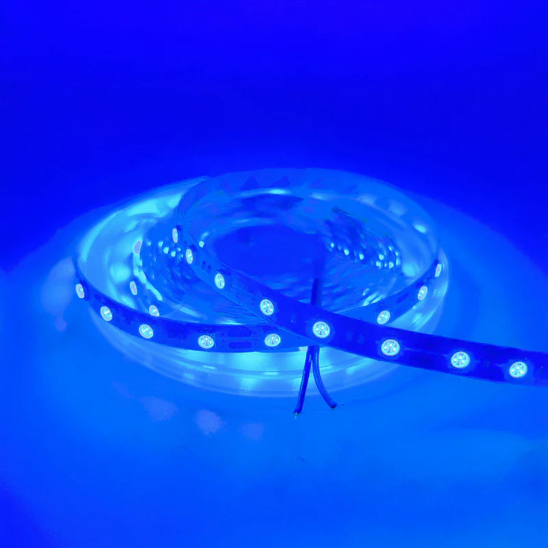 SMD5050 LED Strip Light, 5m Roll | 12V DC | 60 LEDs/m | 12W/m | Standard Brightness | Red / Green / Blue / Yellow / Pink / Icy Blue | IP00 / IP65 / IP67