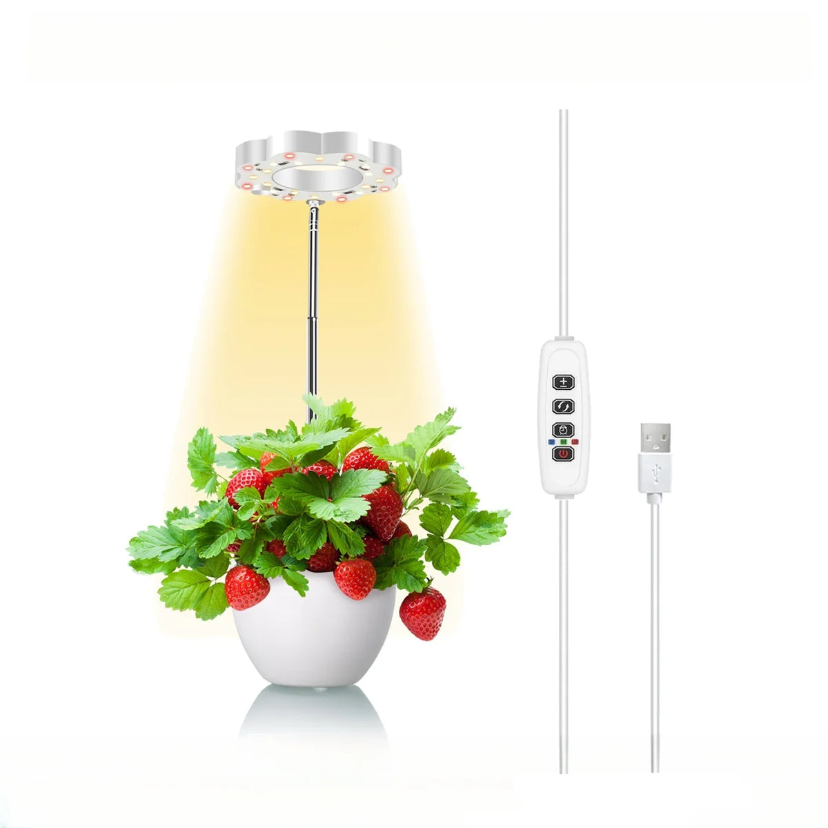 Potted Plants LED Grow Light - 5V | Full Spectrum | Auto On/Off Timer | Dimmable Brightness | Height Adjustable | Stake / Desk Base | Halo Plant Lamp for Indoor Plants Growing | USB Plug | 1 / 2 Pack