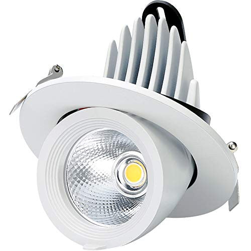 10W / 18W / 24W Home Design Roof Recessed Mounting Fixture Downlights